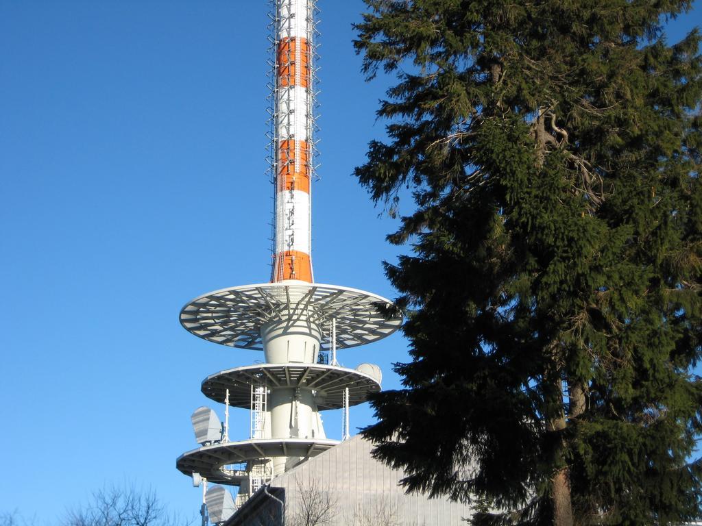 Отель Rossek