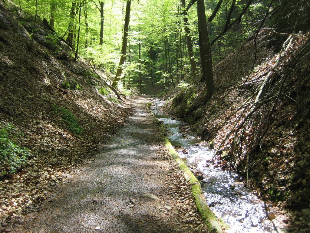 Отель Rossek 3*